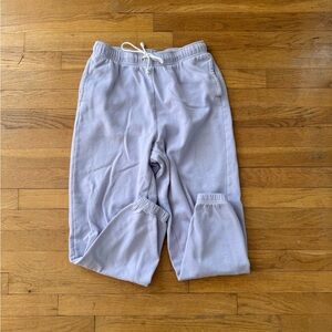 Pacsun Light Purple Sweatpants Size S